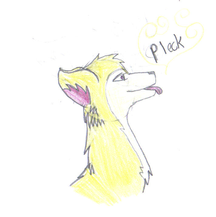 Pleck.jpg
