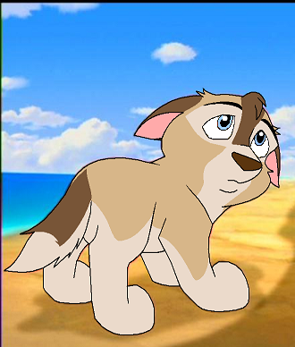catwhoha_90f.png
