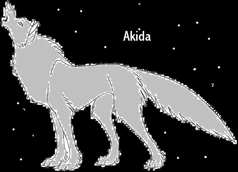 Akida.jpg