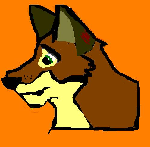 Wolf.JPG