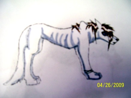 adoption wolfs 002.jpg