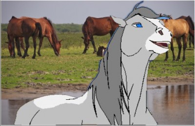 Kita.jpg