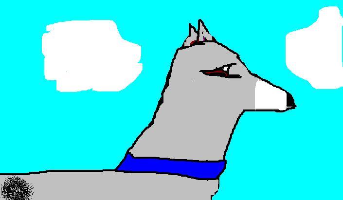 se.JPG