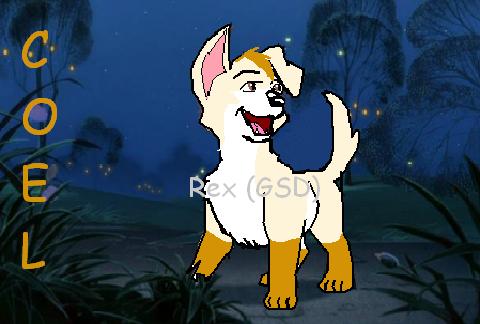 CuteColey.JPG
