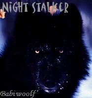 Night Stalker.jpg