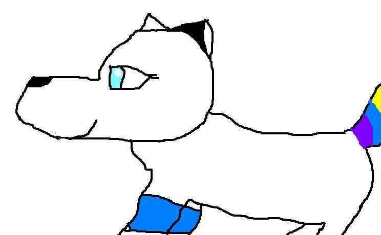 sprailtail.JPG