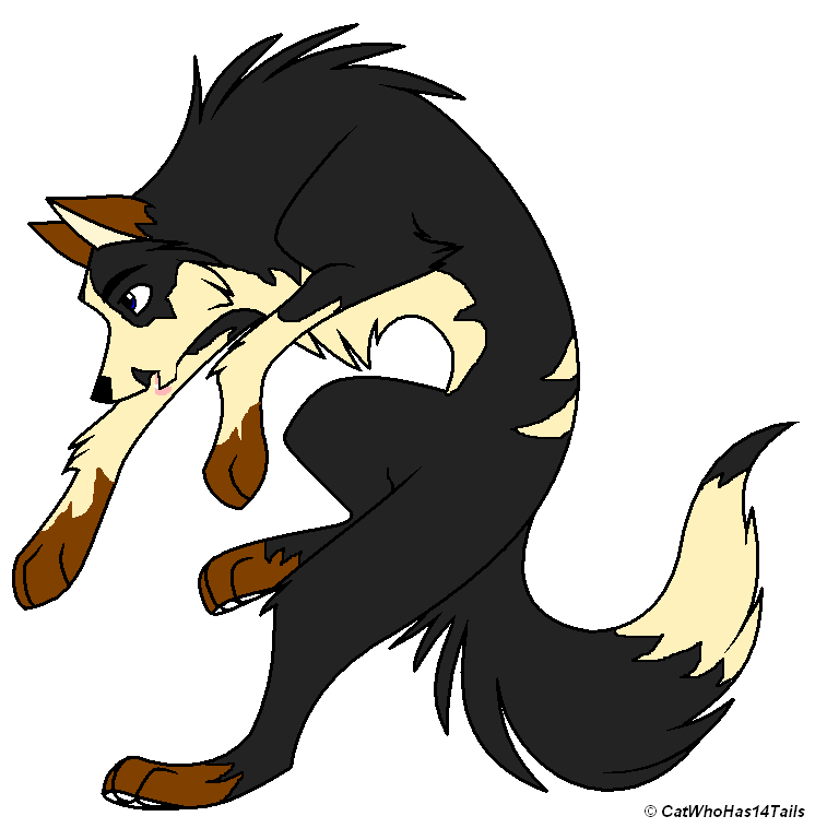 !@@@@@@@@@@@.png