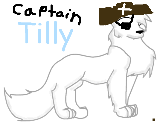 captain Tilly.GIF