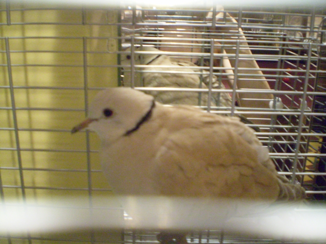 P1010287.JPG