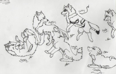 the gang.JPG