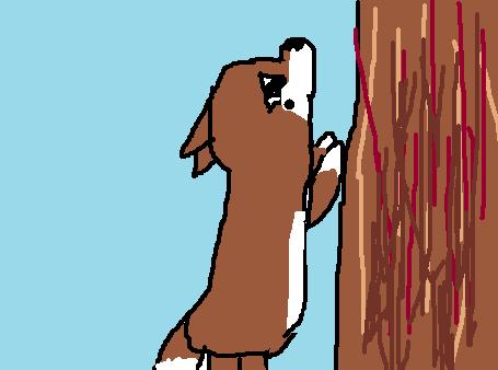 Dixie.jpg