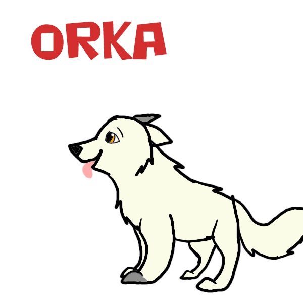 orka renewed.png