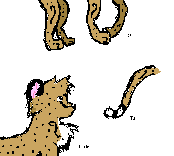 cheetah design.PNG