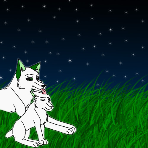 Crissy's Lone Contest Entry Final.jpg