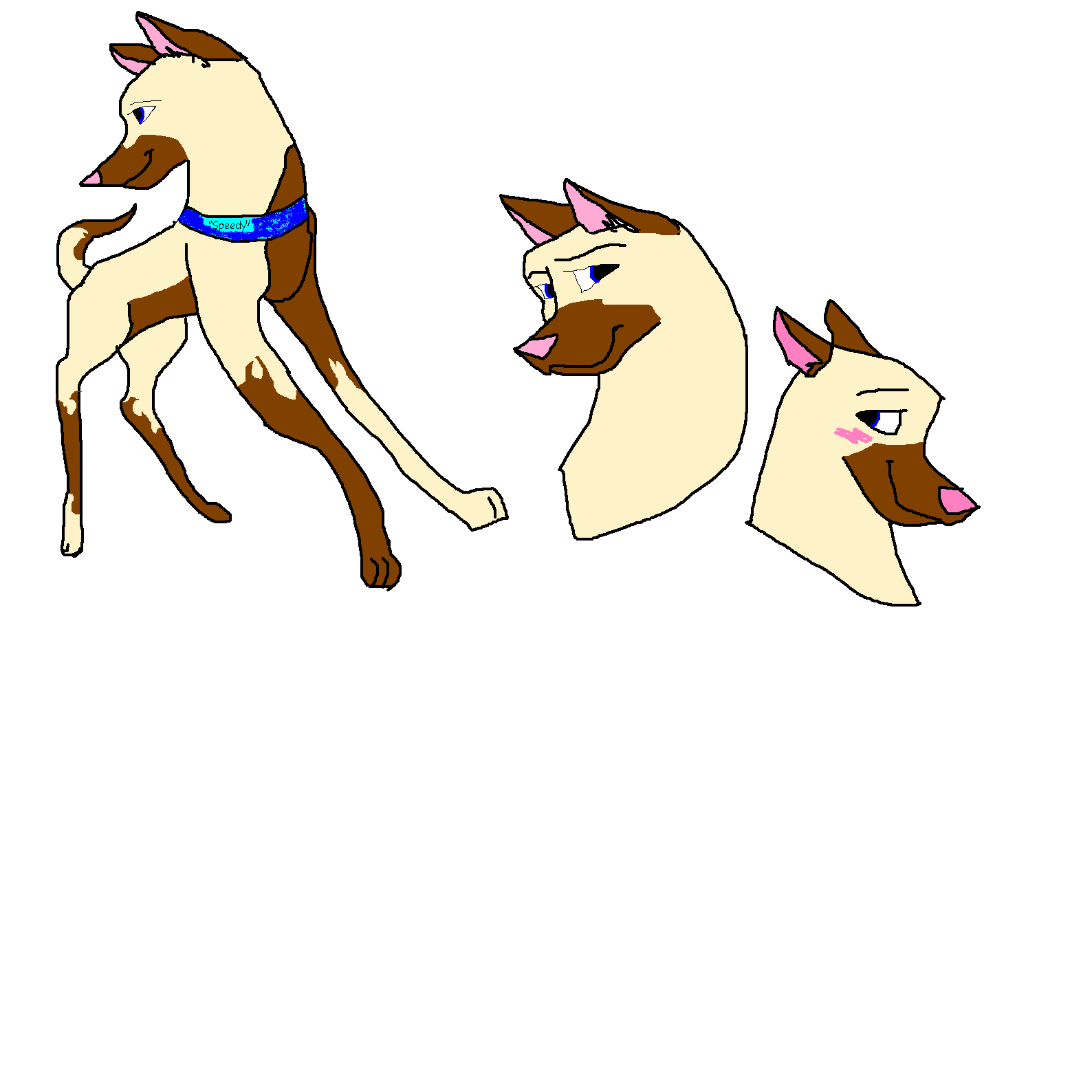 speedy.PNG