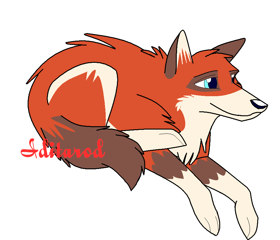 vienna pup.PNG