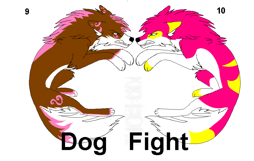 dogfight.PNG