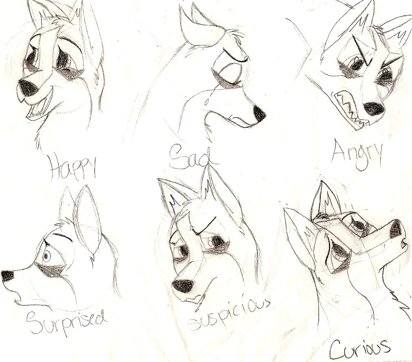 Desna faces.jpg