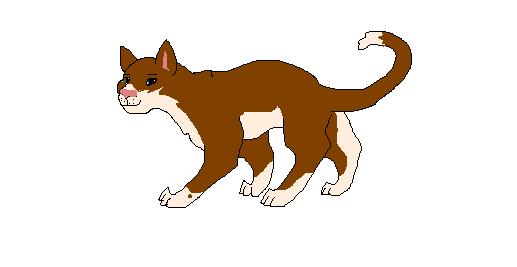 meakitty.jpg