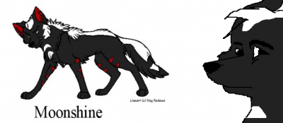 MoonShine.PNG