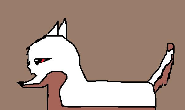 ddeedee.jpg