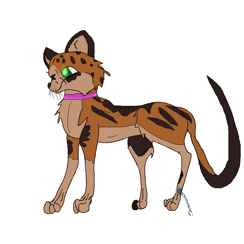 cheetfordev.png