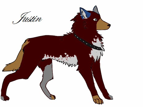 Justin_fixed.jpg