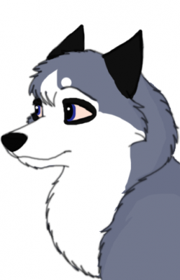 Patchy.png