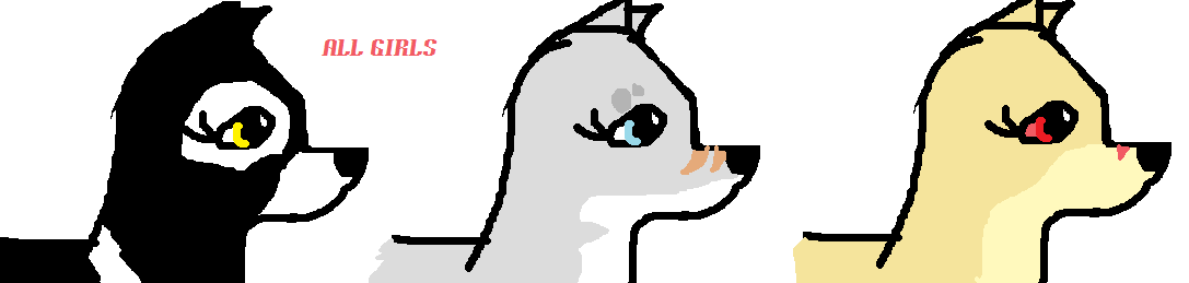 all girls.png