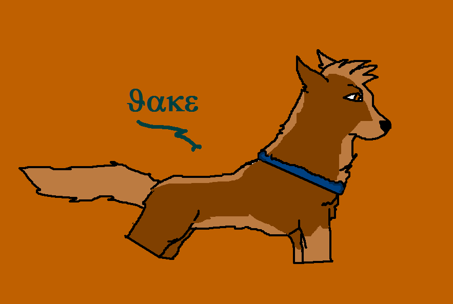 untitled.PNG