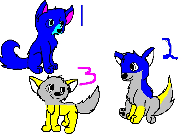 Miami's Puppies.PNG