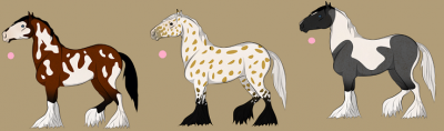 mare.png