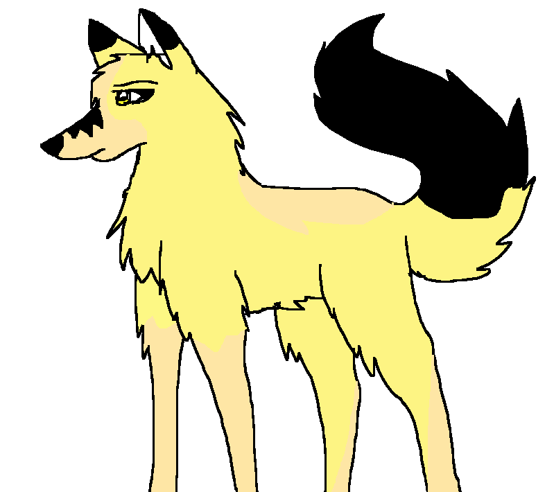 nia.png
