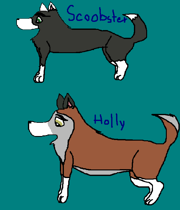 untitled.PNG