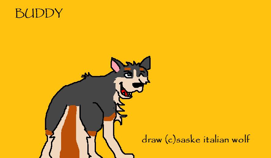 buddy.jpg