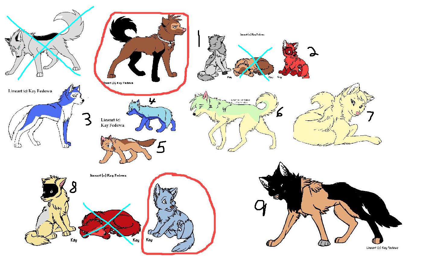 adoptiona.JPG