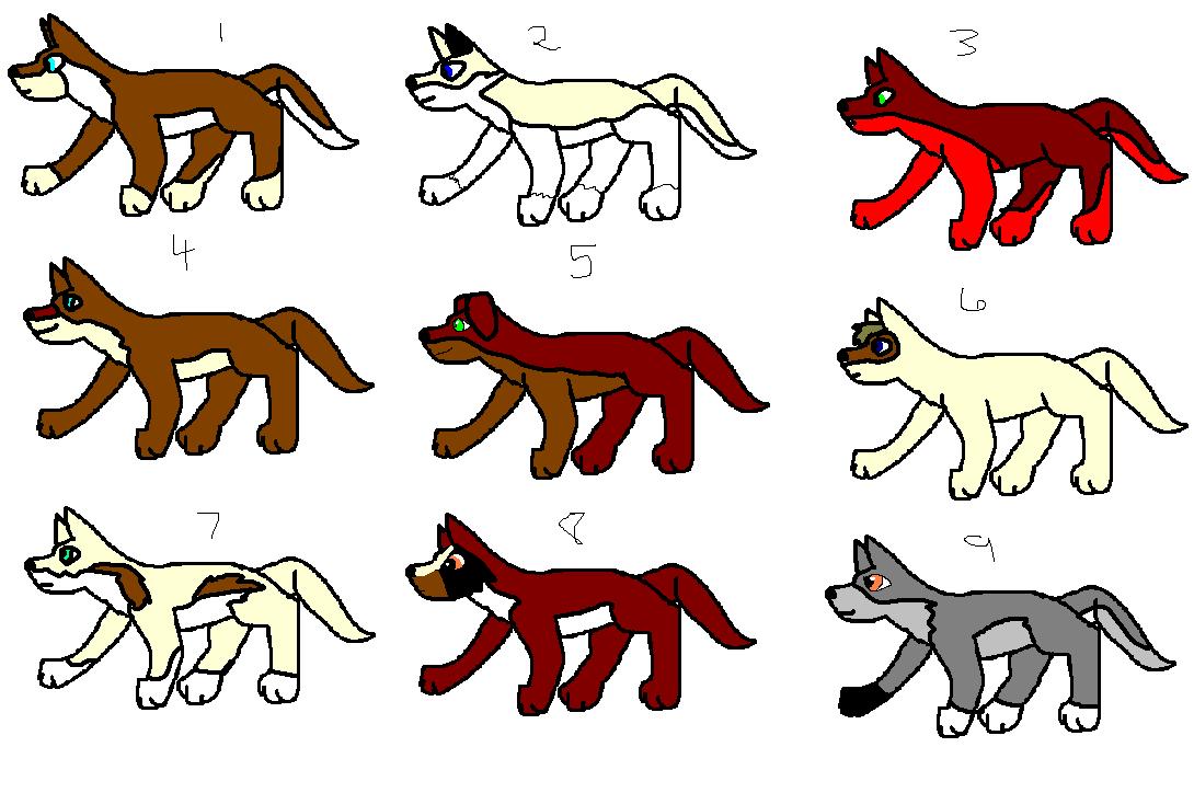 ranom little pups.JPG