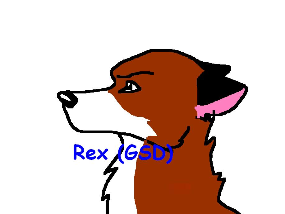 AJ.JPG