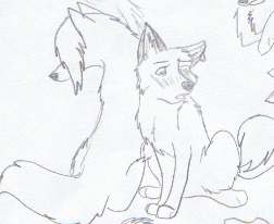 Payne Nicole.png
