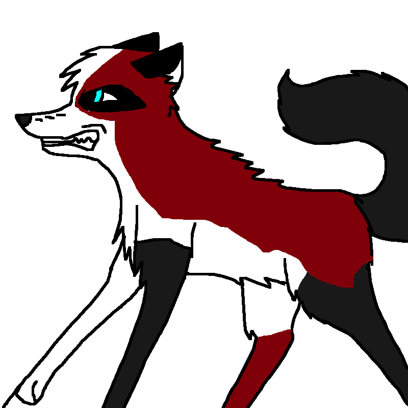 aa.png