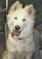 Finn big smile.jpg