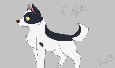 Callie 2.jpg