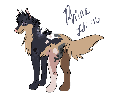 Rhina adoption.PNG