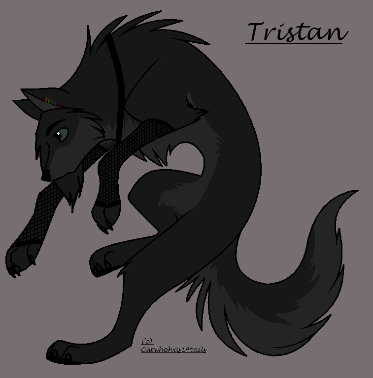 wolf.png