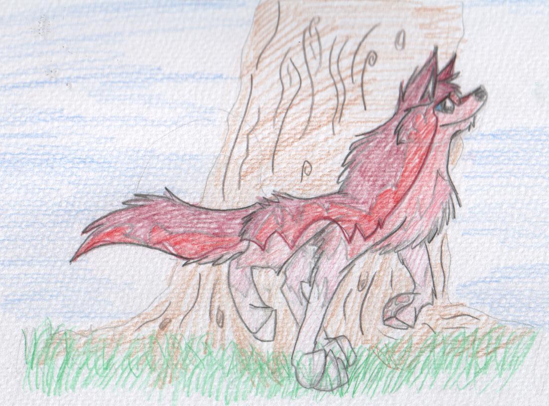 drawings.jpg