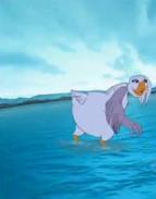 B3_WoC_Stella_Beautifulfemalegoose_Waterpool_woboris.JPG