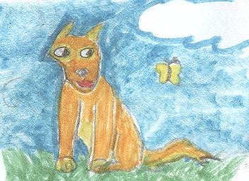 Shiba.jpg