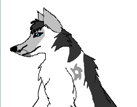 Randomnesss.jpg