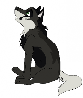 Blackie.png