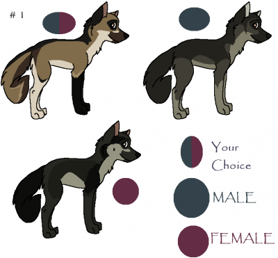 pup.PNG